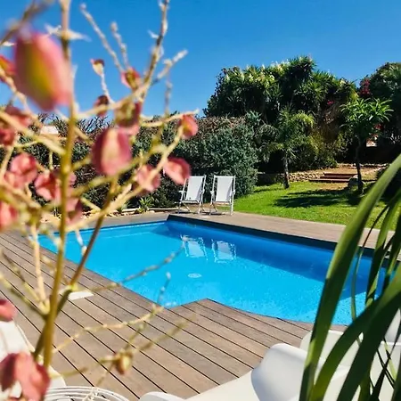 Cassandra * 泰拉西尼
